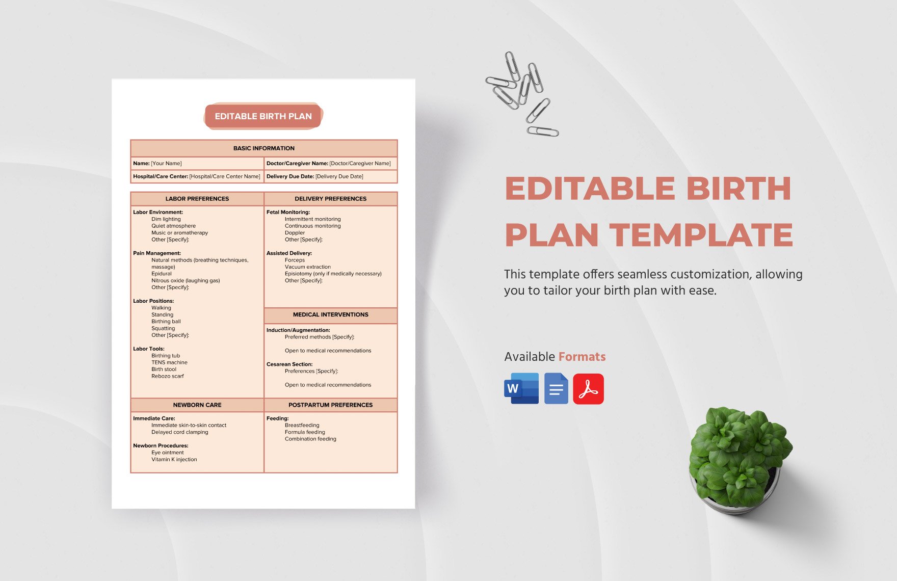 Editable Birth Plan Template in Word, Google Docs, PDF