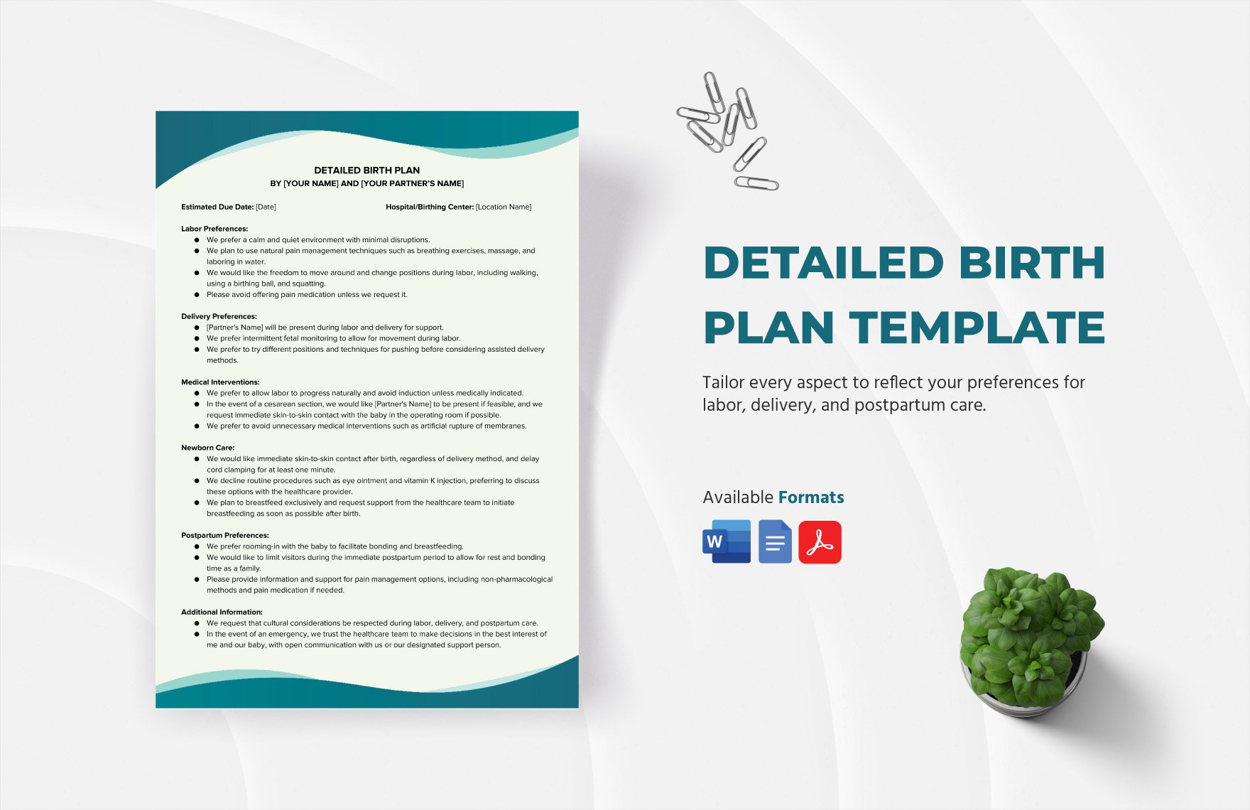 Detailed Birth Plan Template in Word, Google Docs, PDF