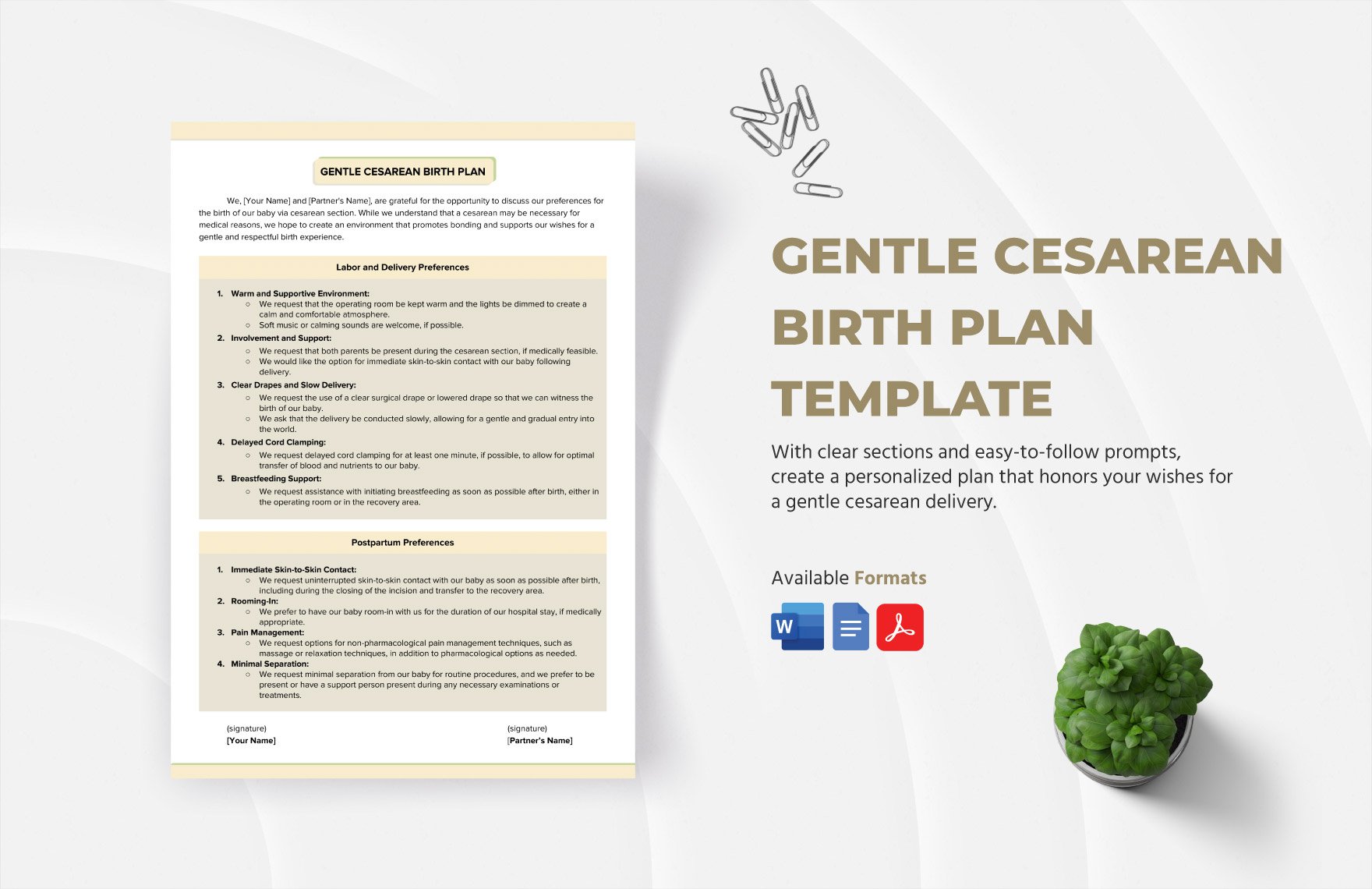 Gentle Cesarean Birth Plan Template in Word, Google Docs, PDF