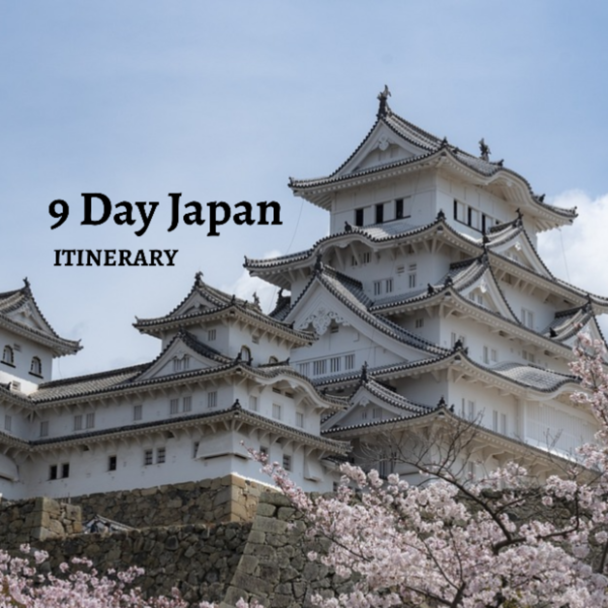 9 Day Japan Itinerary Template - Edit Online & Download