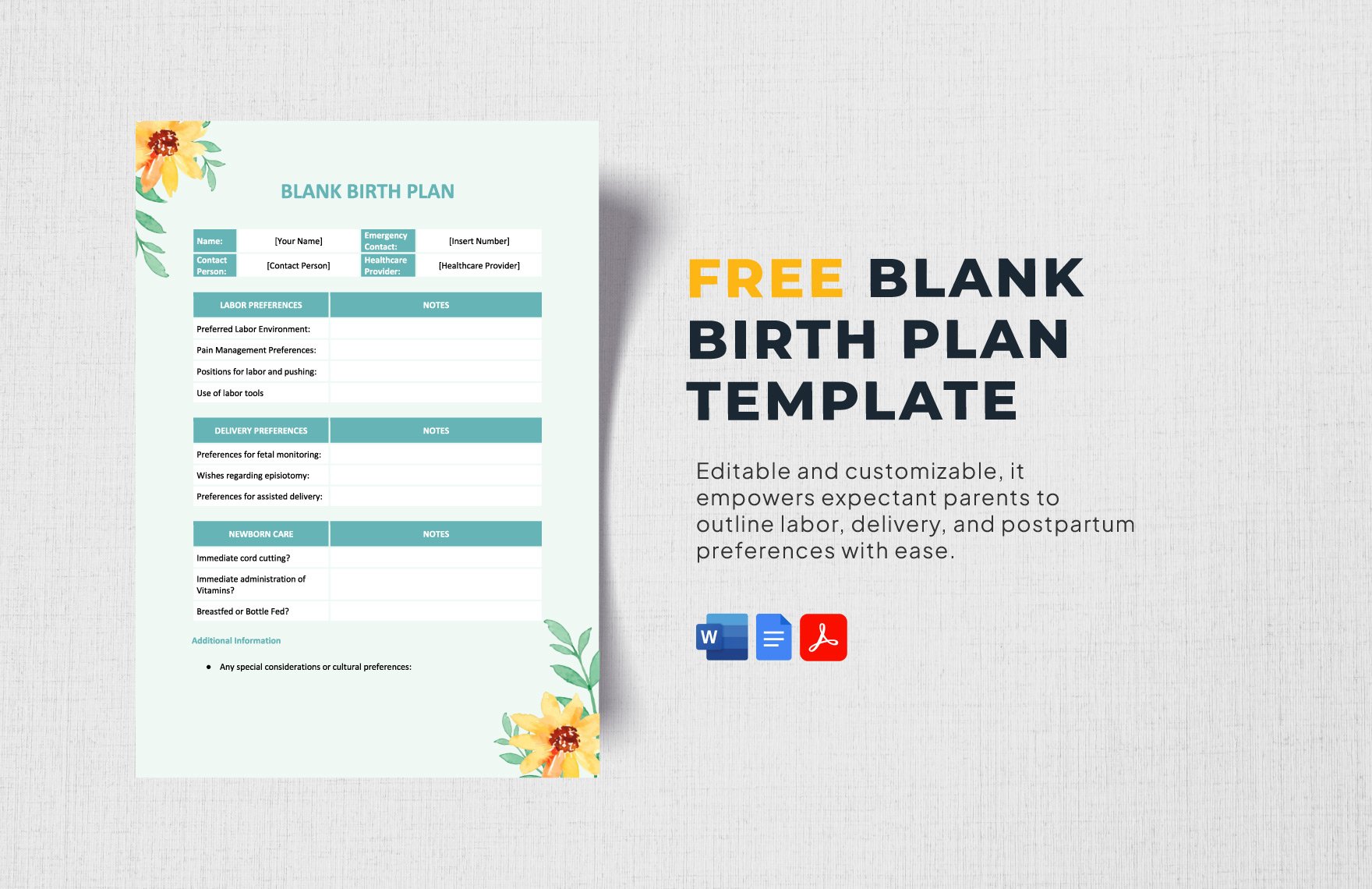 Free Blank Birth Plan Template in Word, Google Docs, PDF