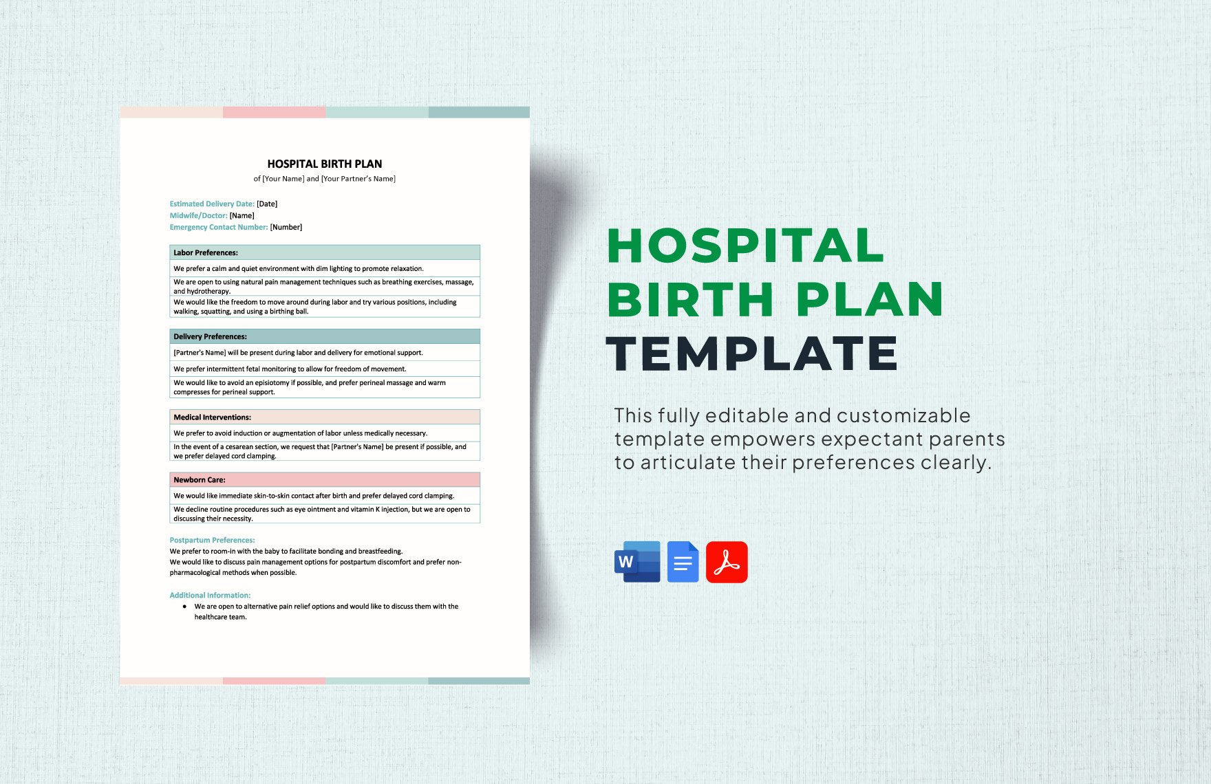 Hospital Birth Plan Template in Word, Google Docs, PDF