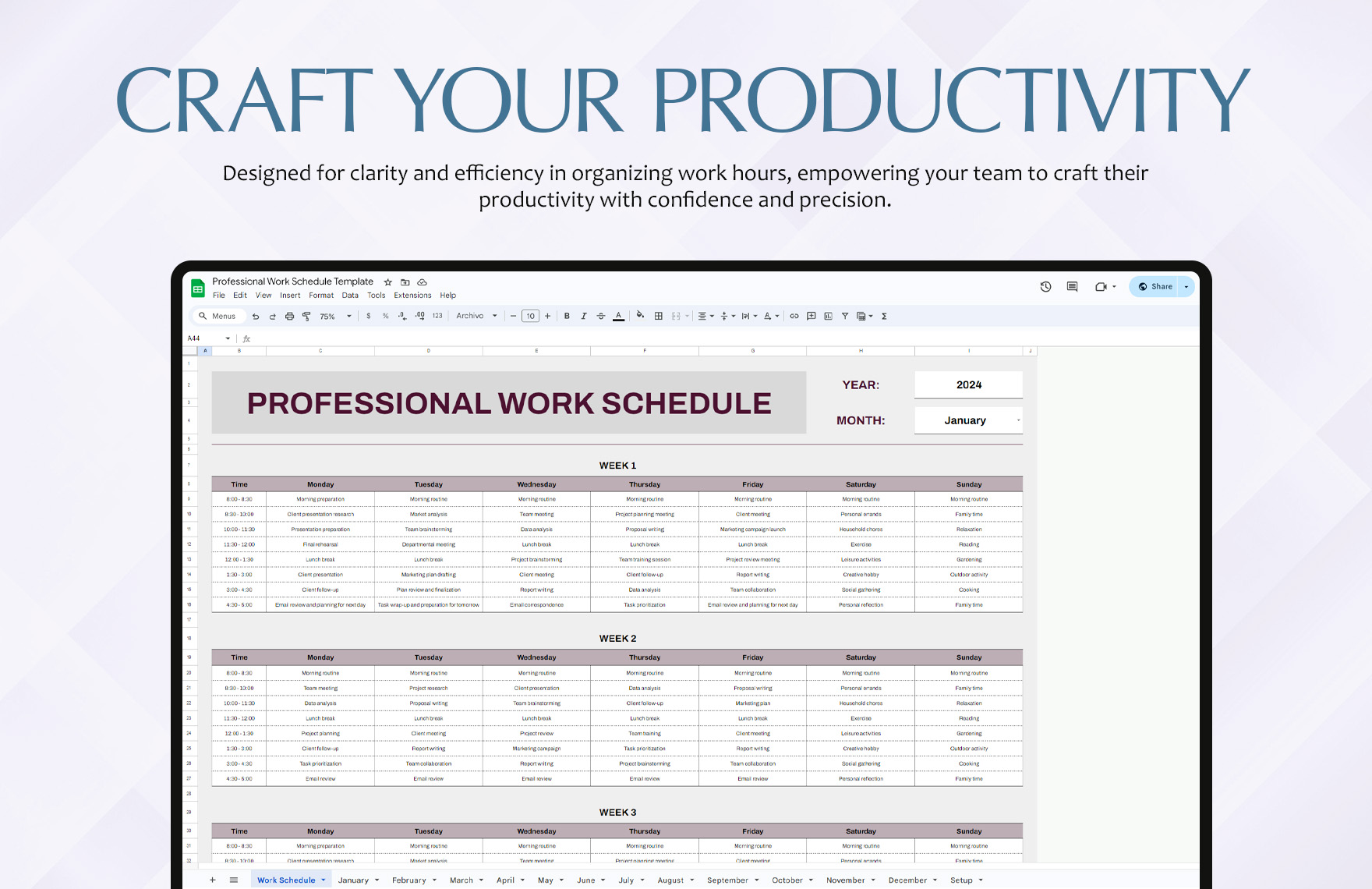Professional Work Schedule Template