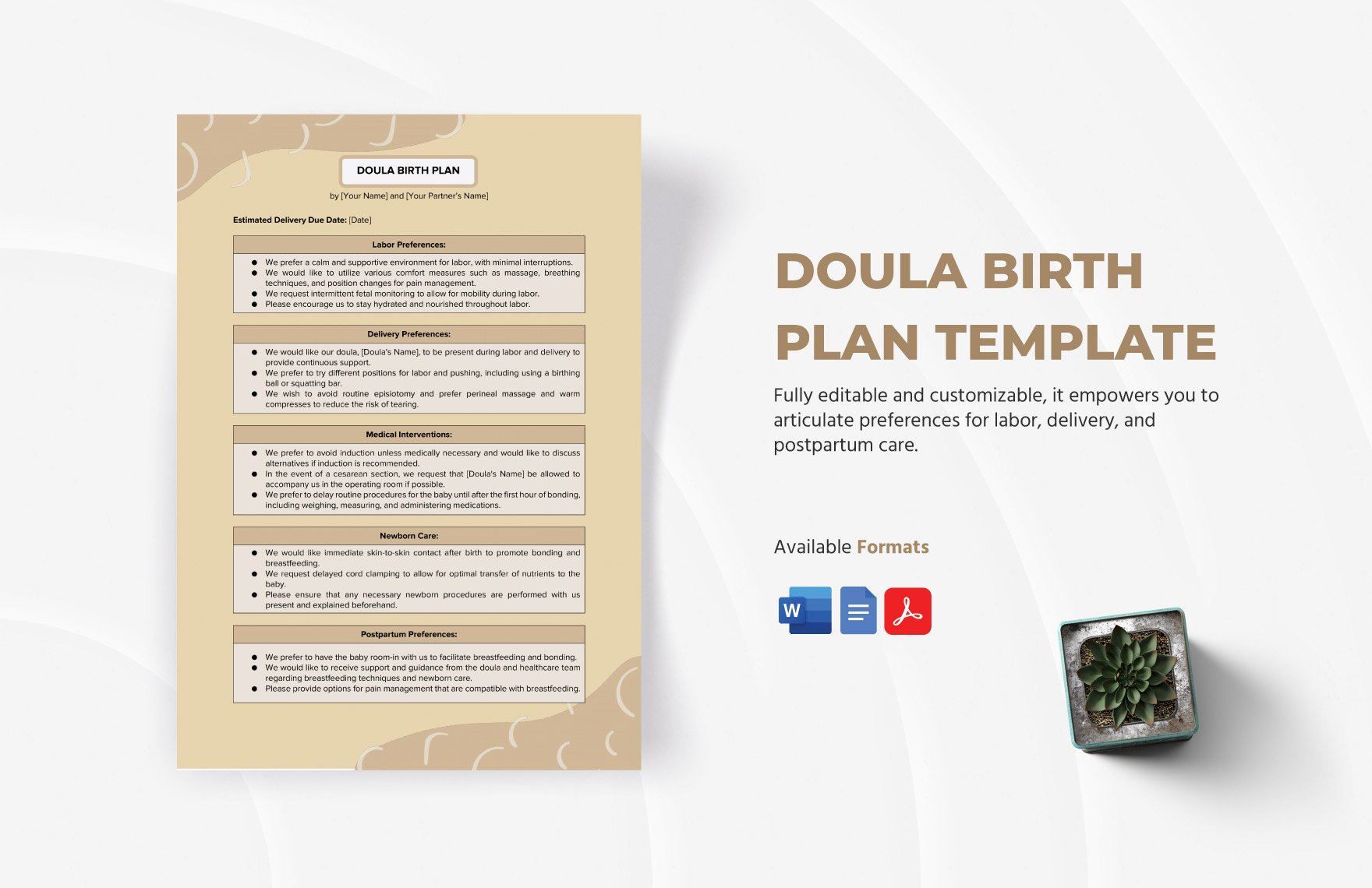 Doula Birth Plan Template in Word, Google Docs, PDF