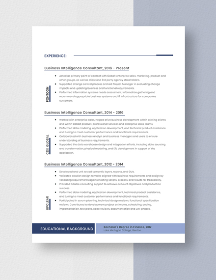 Business Intelligence Consultant Resume Template