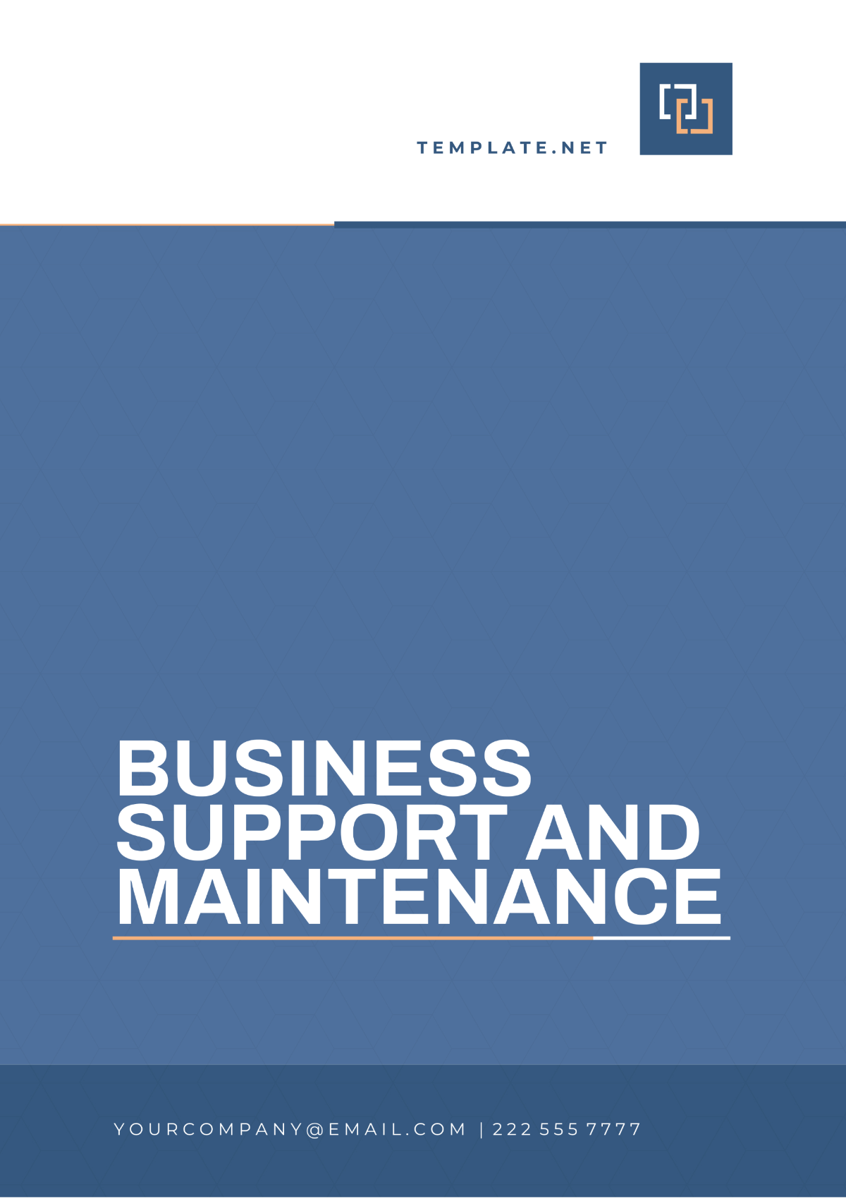 Business Support and Maintenance Template
