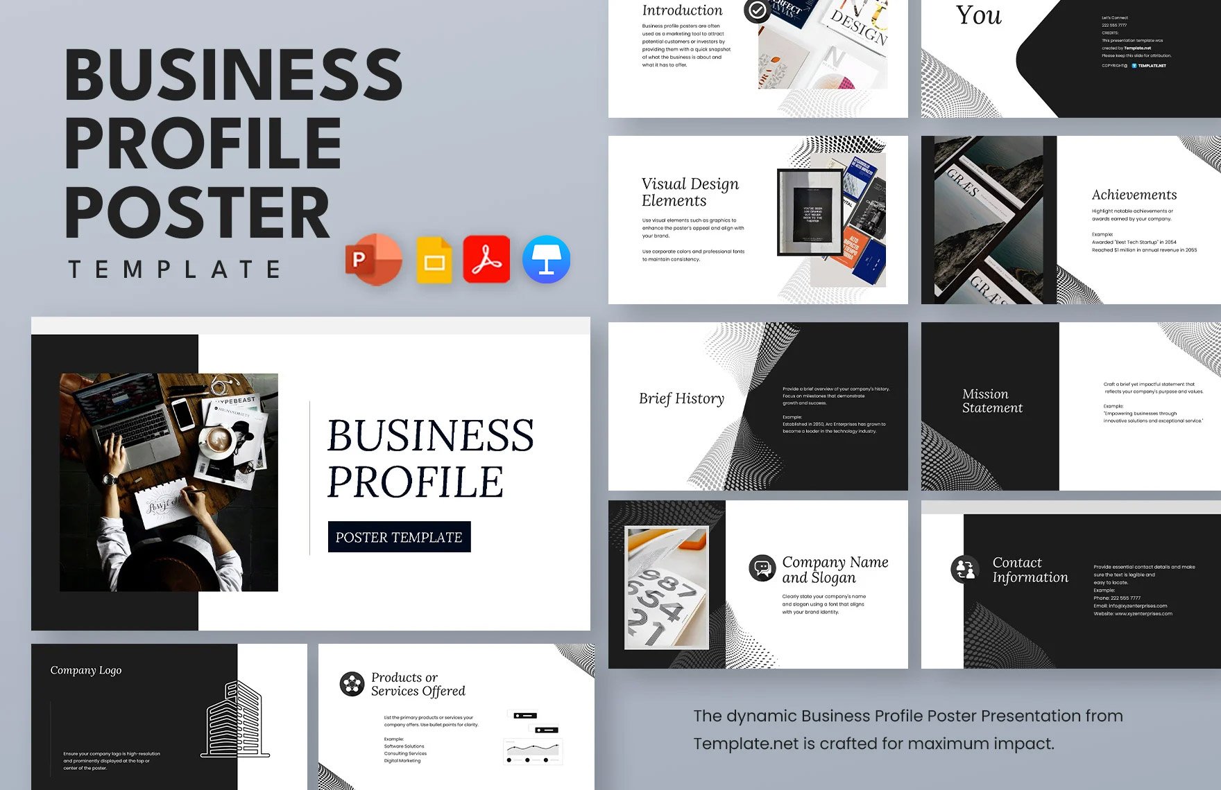 Business Profile Poster Template in PDF, PowerPoint, Google Slides, Apple Keynote