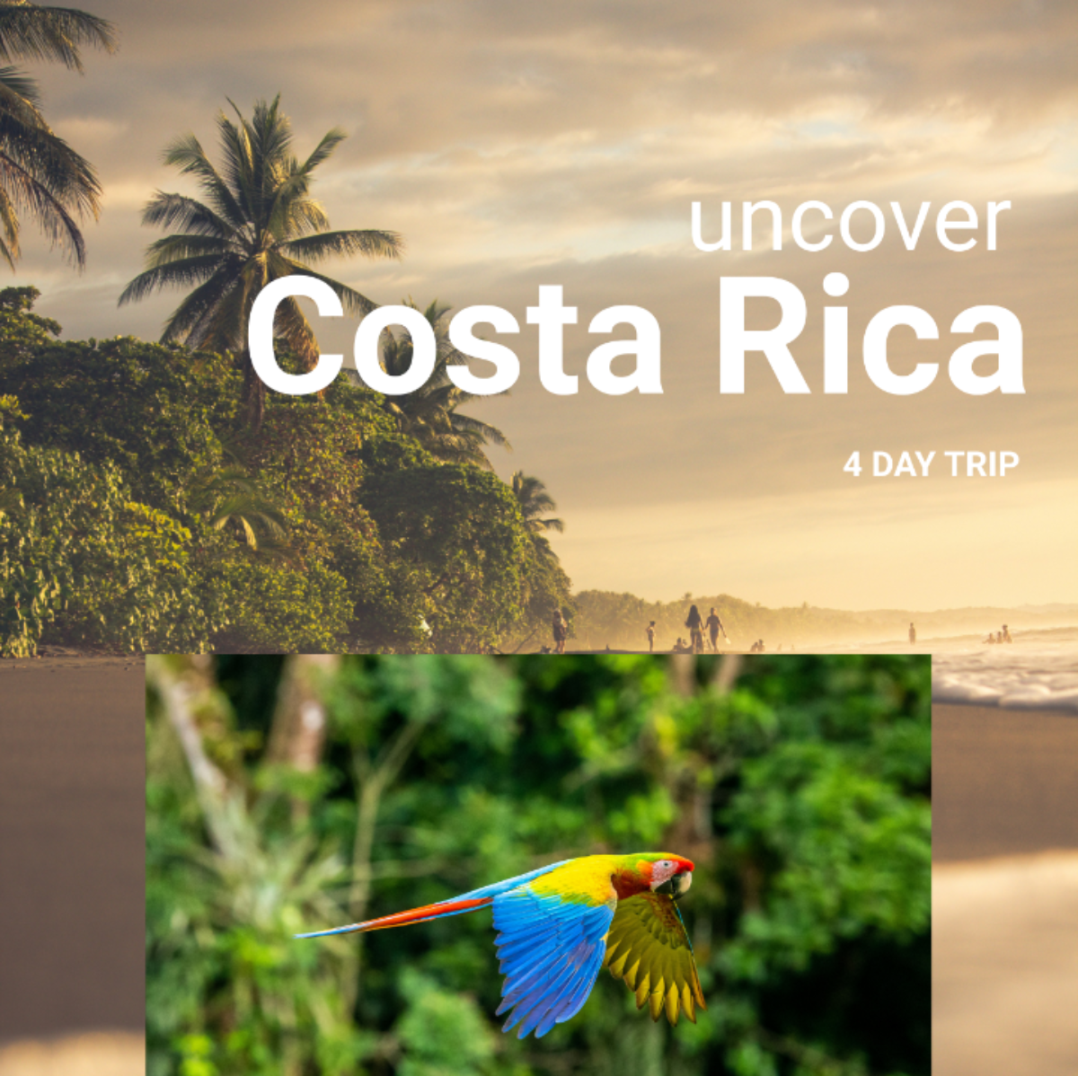 4 Day Costa Rica Itinerary Template - Edit Online & Download