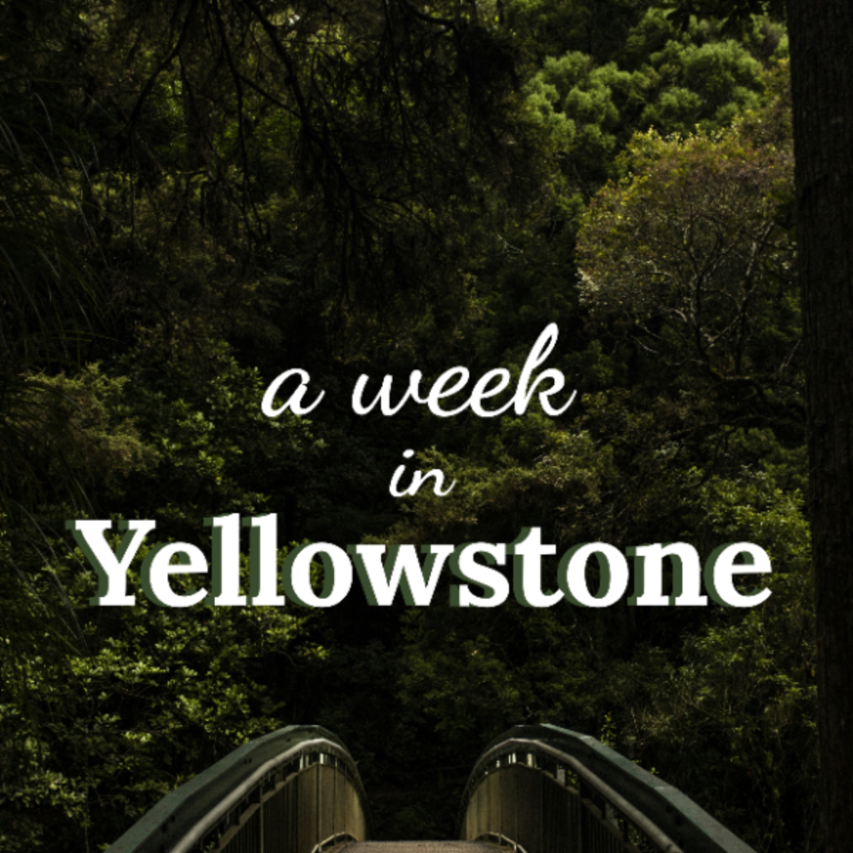 7 Day Yellowstone Itinerary Template - Edit Online & Download