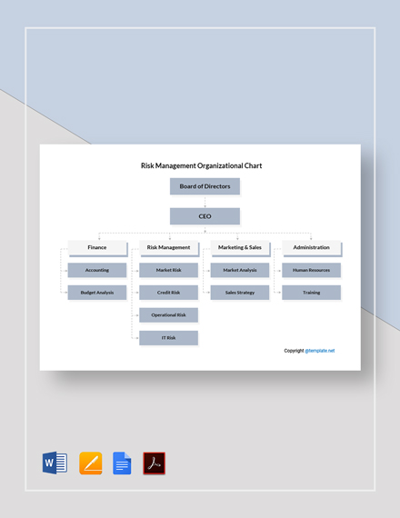 Risk Management Organization Chart