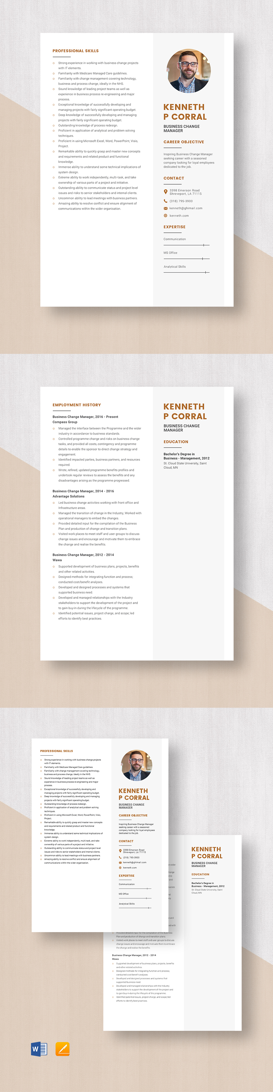 Free Business Change Manager Resume Template Word Apple Pages 