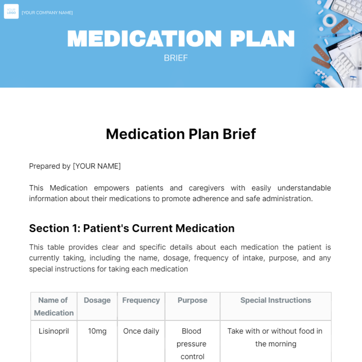 Medication Plan Brief Template - Edit Online & Download