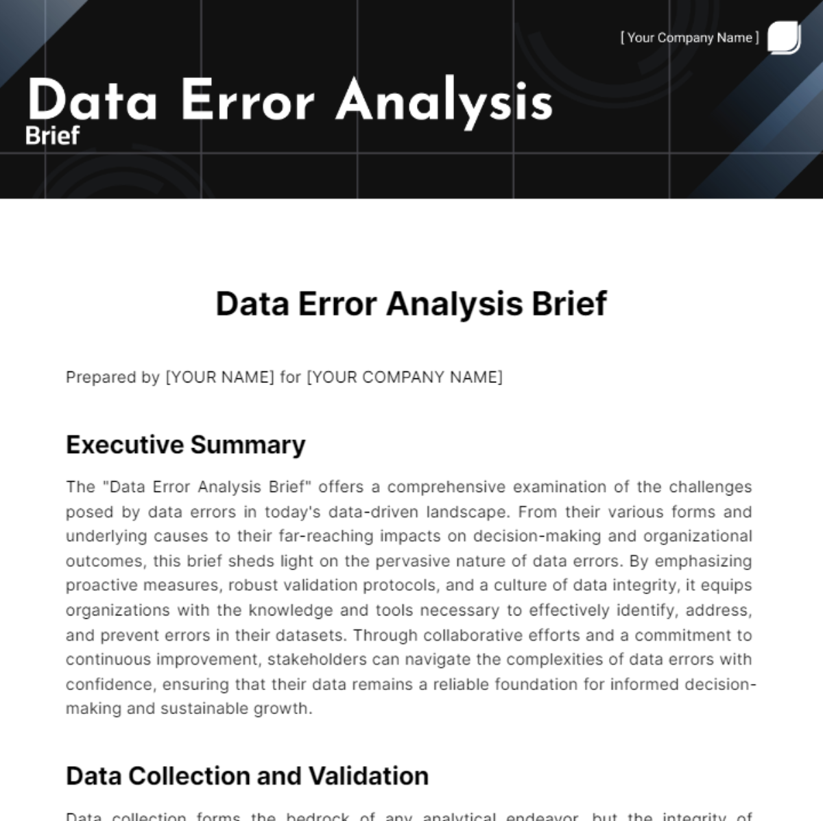 Data Error Analysis Brief Template