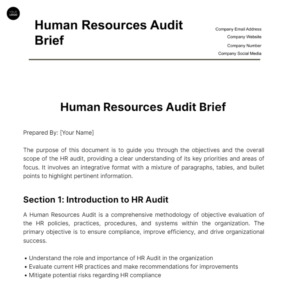 Human Resources Audit  Brief Template