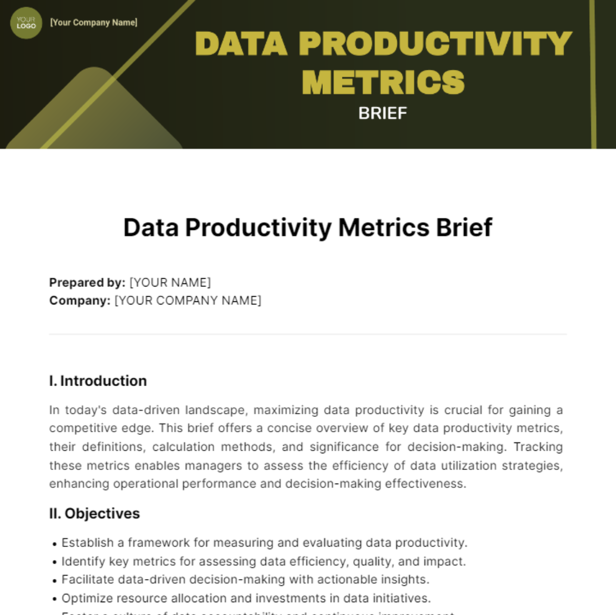 Data Productivity Metrics Brief Template
