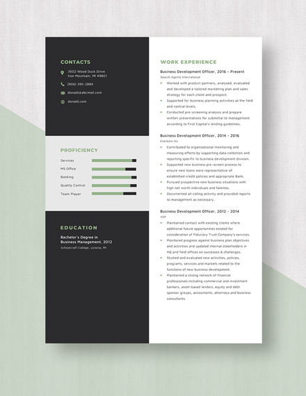 business-development-officer-resume-template-word-apple-pages