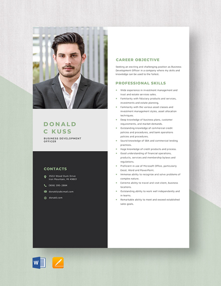 Business Resume - Download in Word, Illustrator, PSD, Apple Pages ...