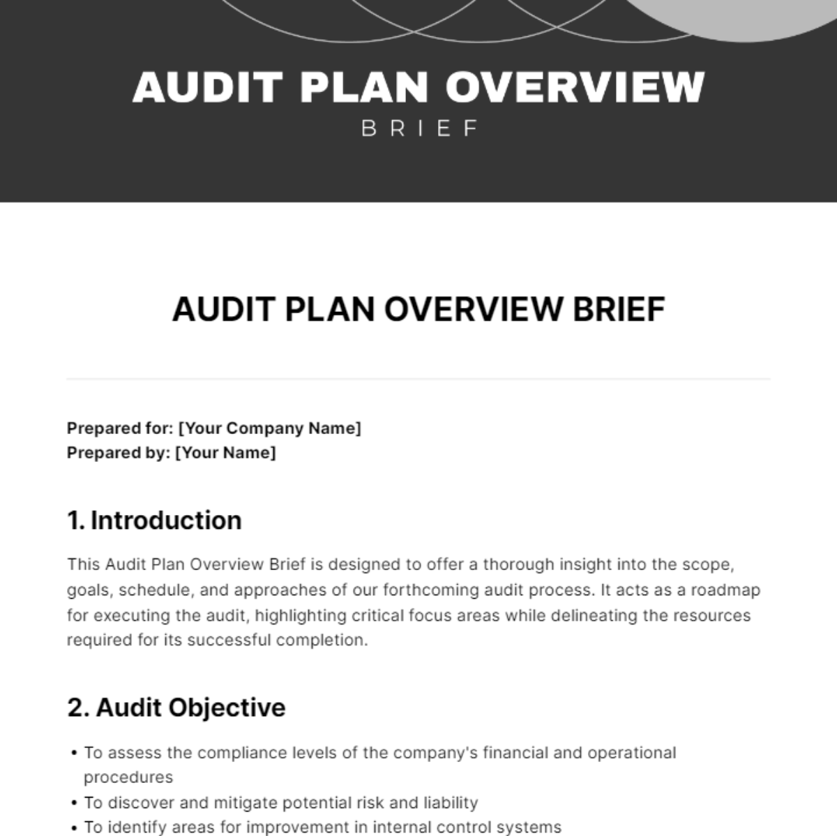 Audit Plan Overview Brief Template