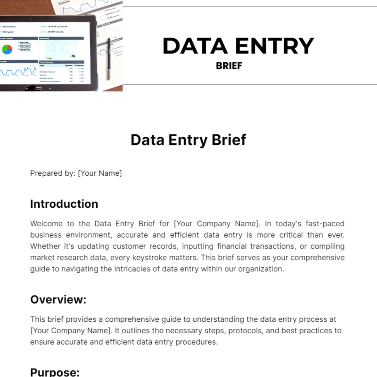Data Entry Brief Template