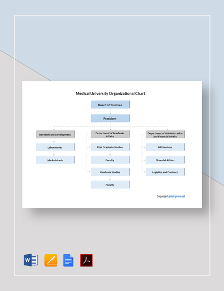 Medical Clinic Organizational Chart