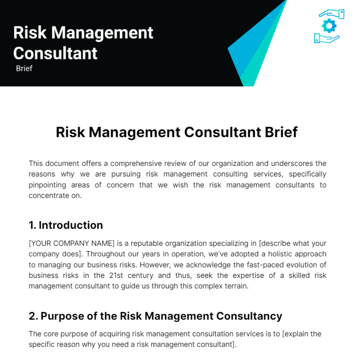 Risk Management Consultant Brief Template