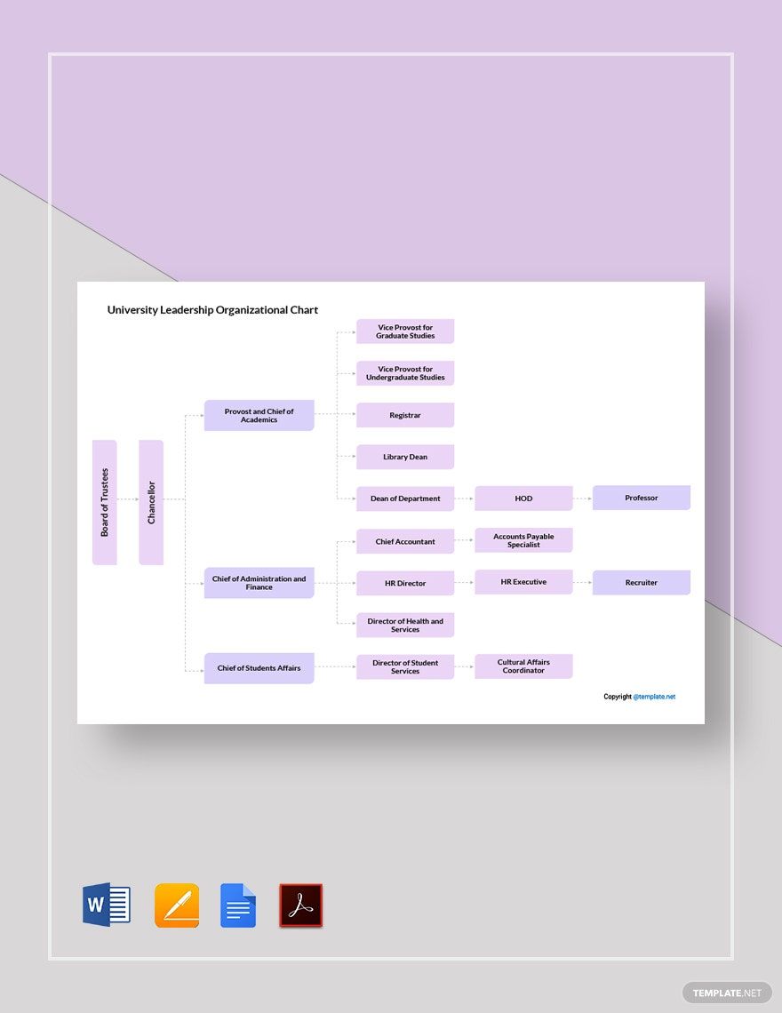 University Leadership Organizational Chart Template