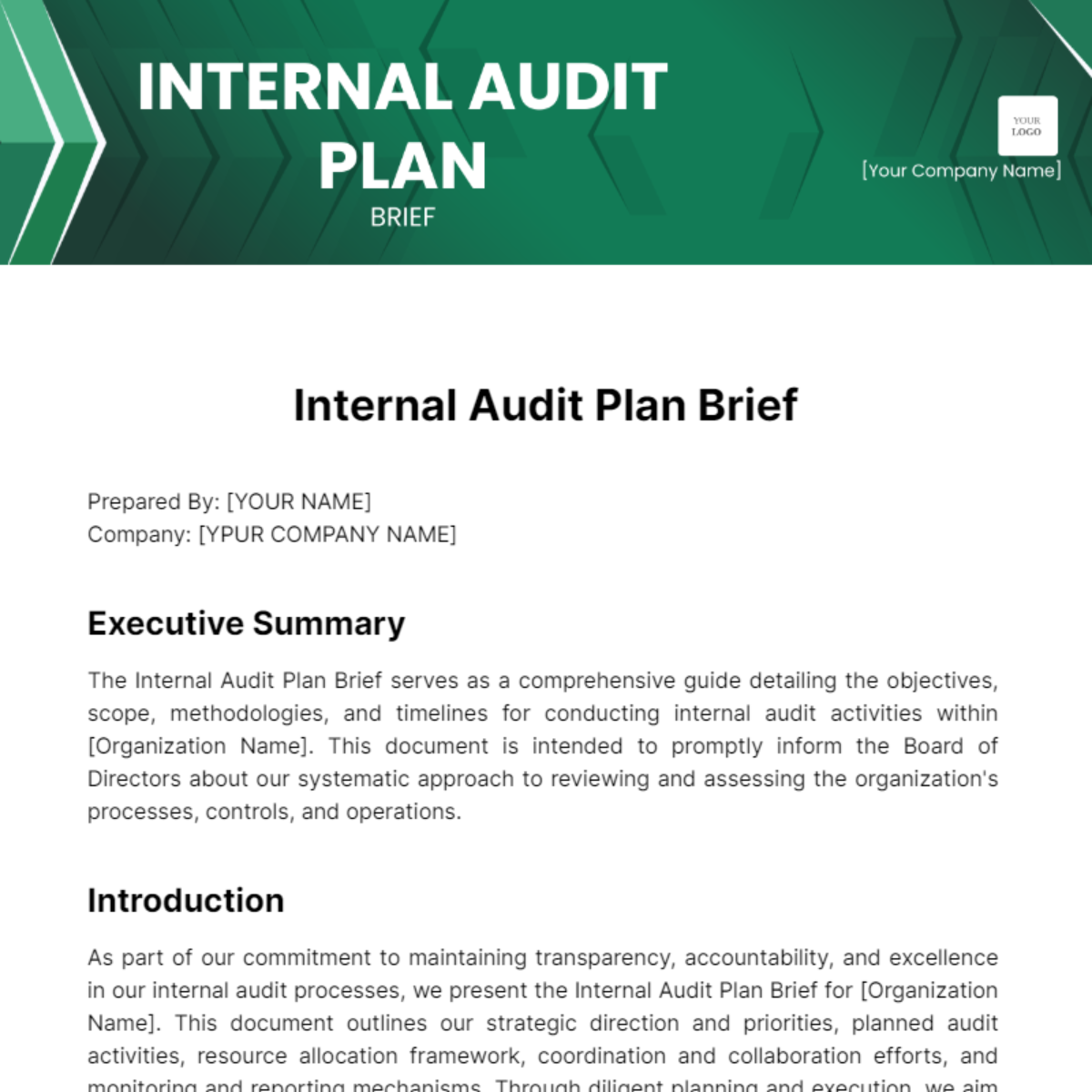 Internal Audit Plan Brief Template