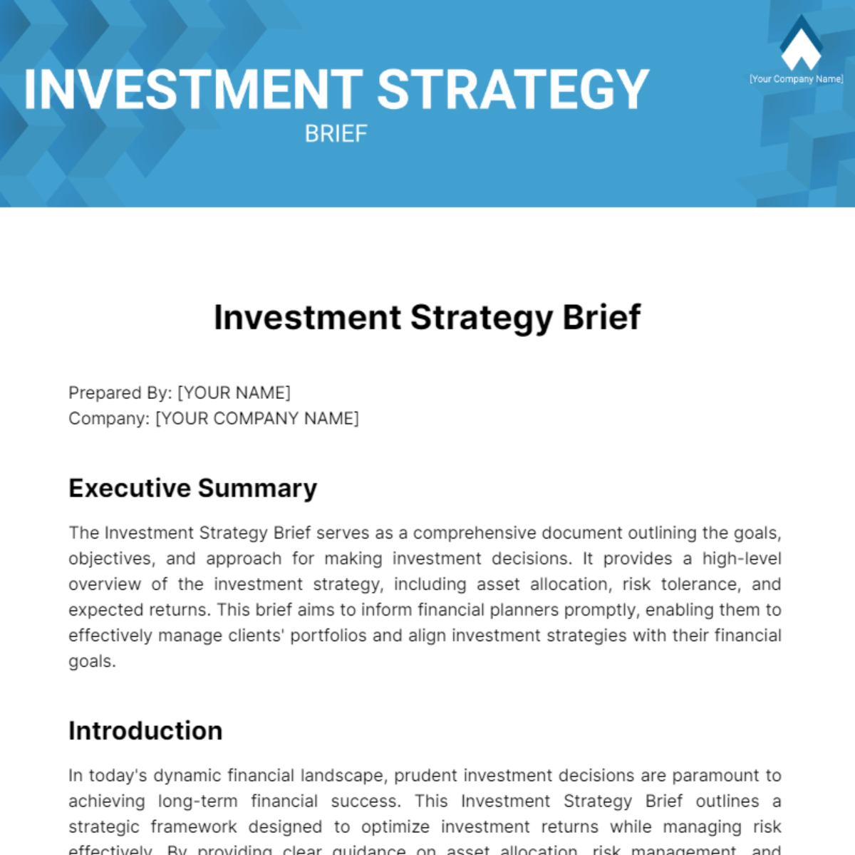 Investment Strategy Brief Template
