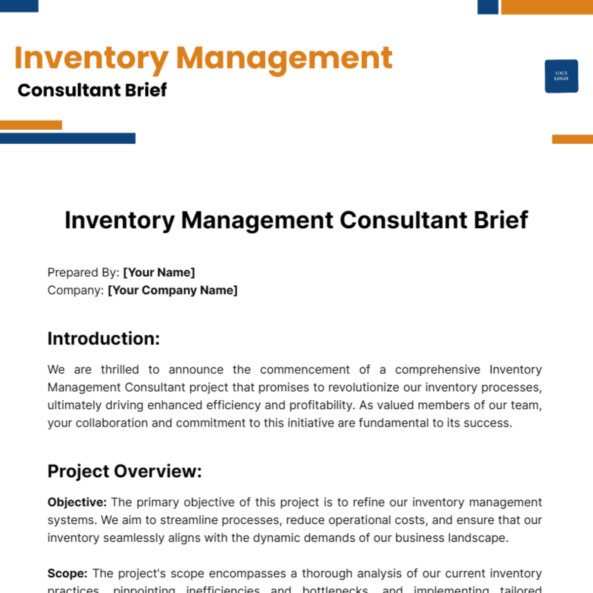 Inventory Management Consultant Brief Template