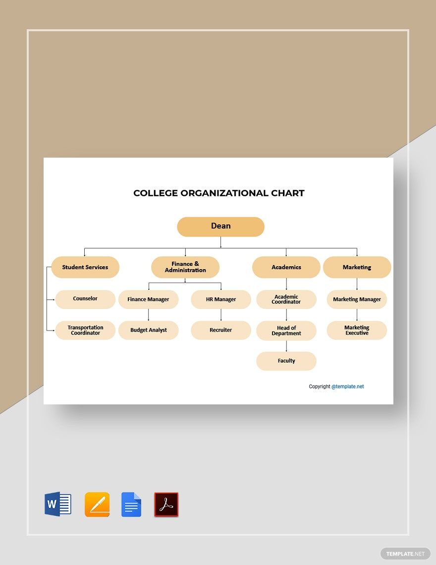 Sample College Organizational Chart Template