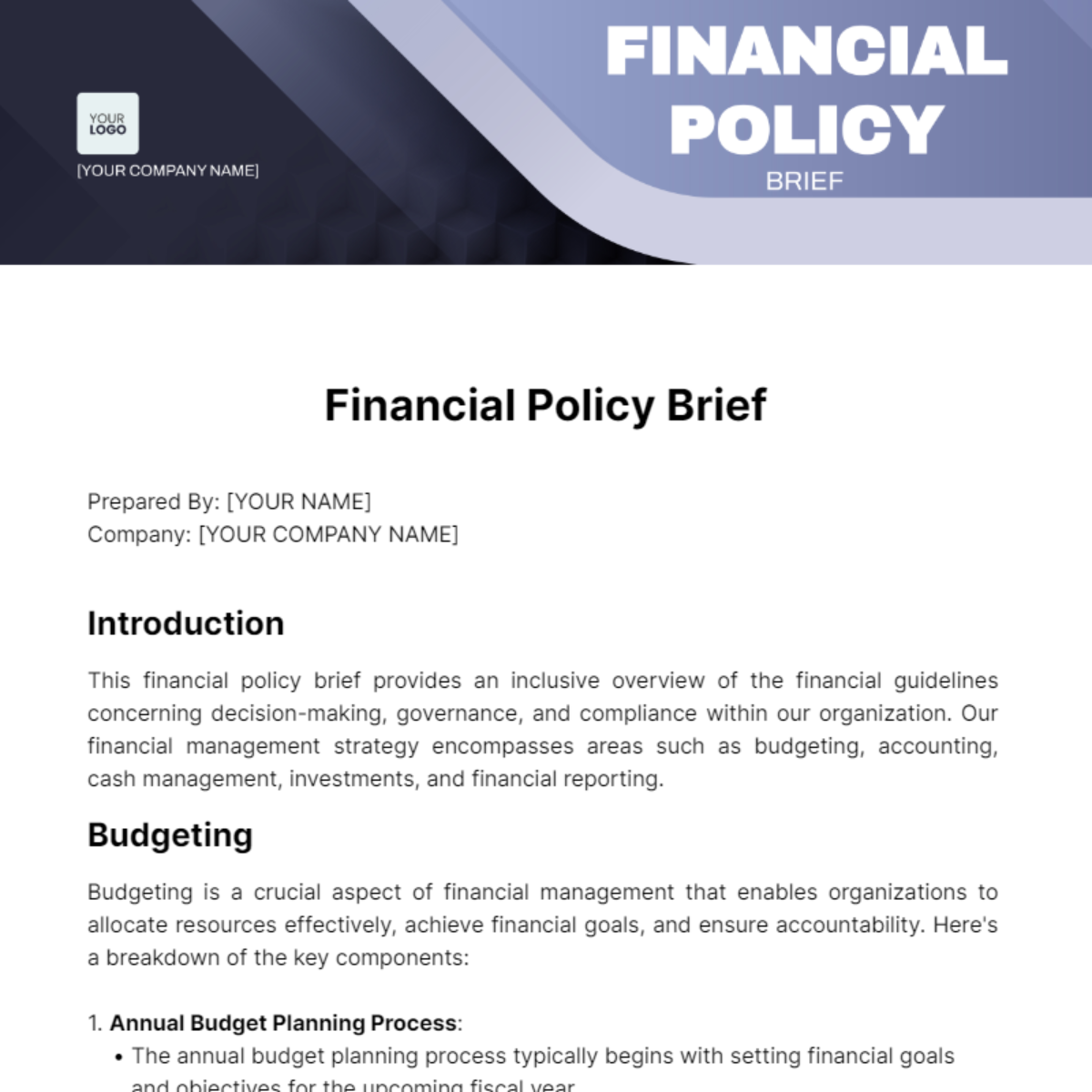 Financial Policy Brief Template