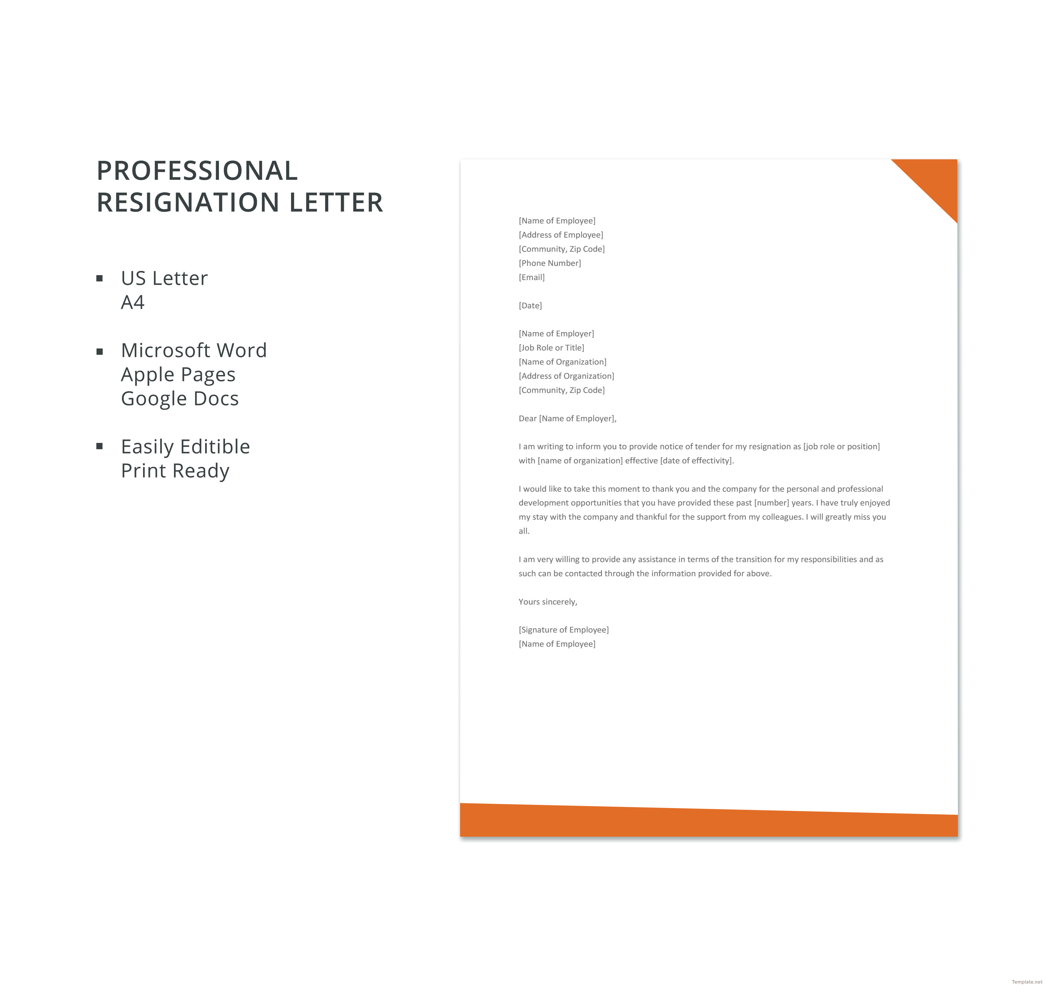 Professional Resignation Letter Template In Microsoft Word Apple Pages 