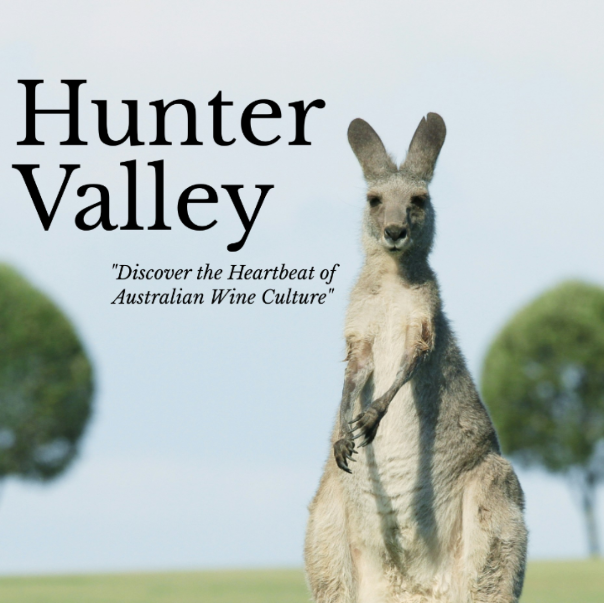 Hunter Valley Itinerary Template - Edit Online & Download