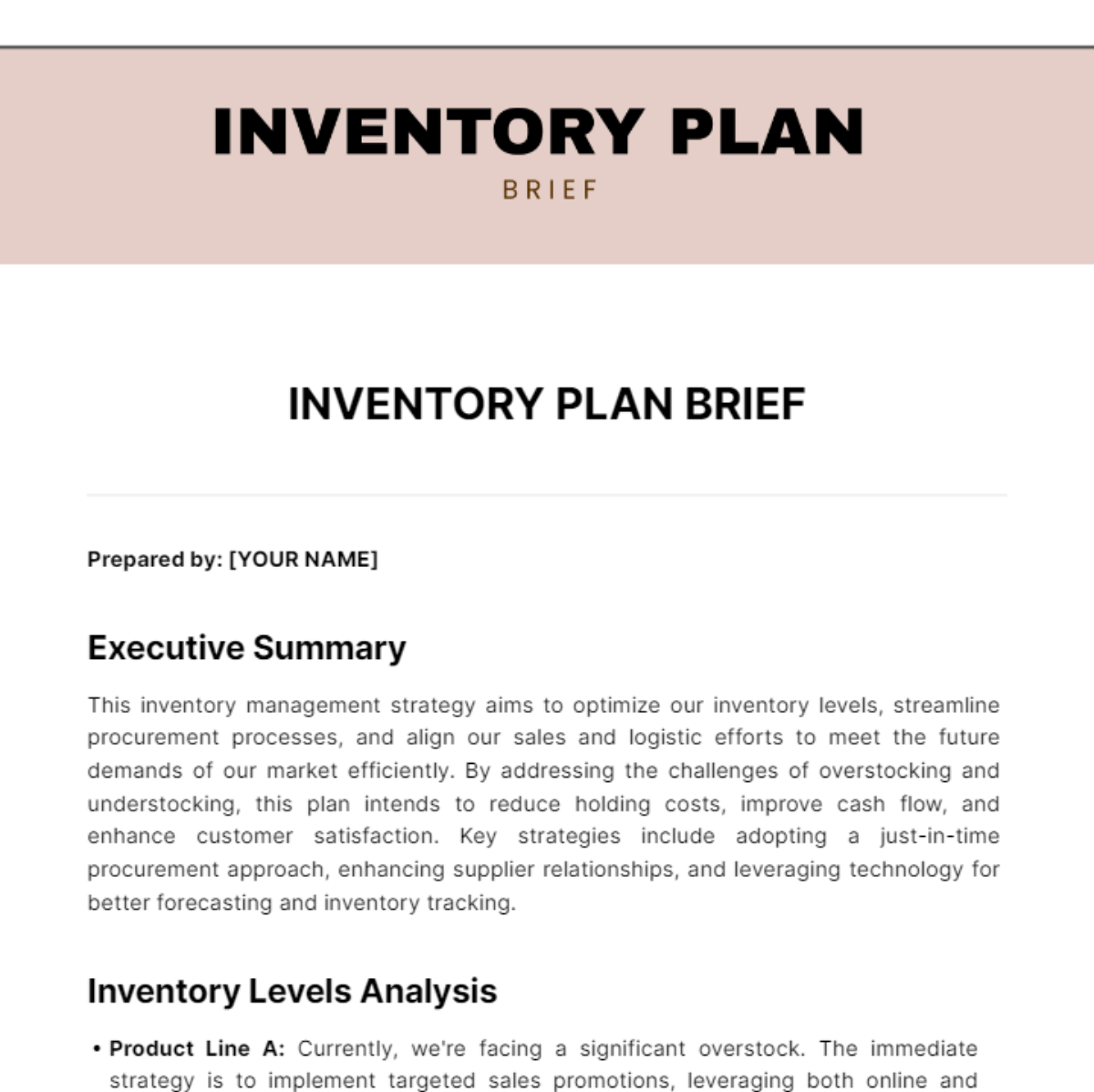 Free Inventory Plan  Brief Template