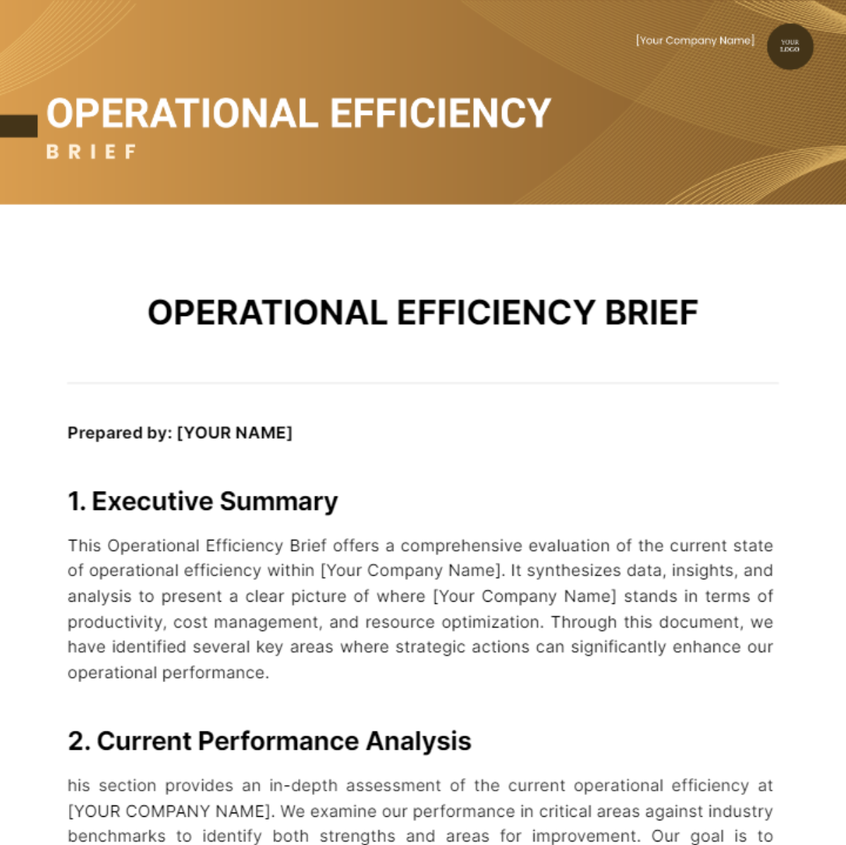 Free Operational Efficiency Brief Template