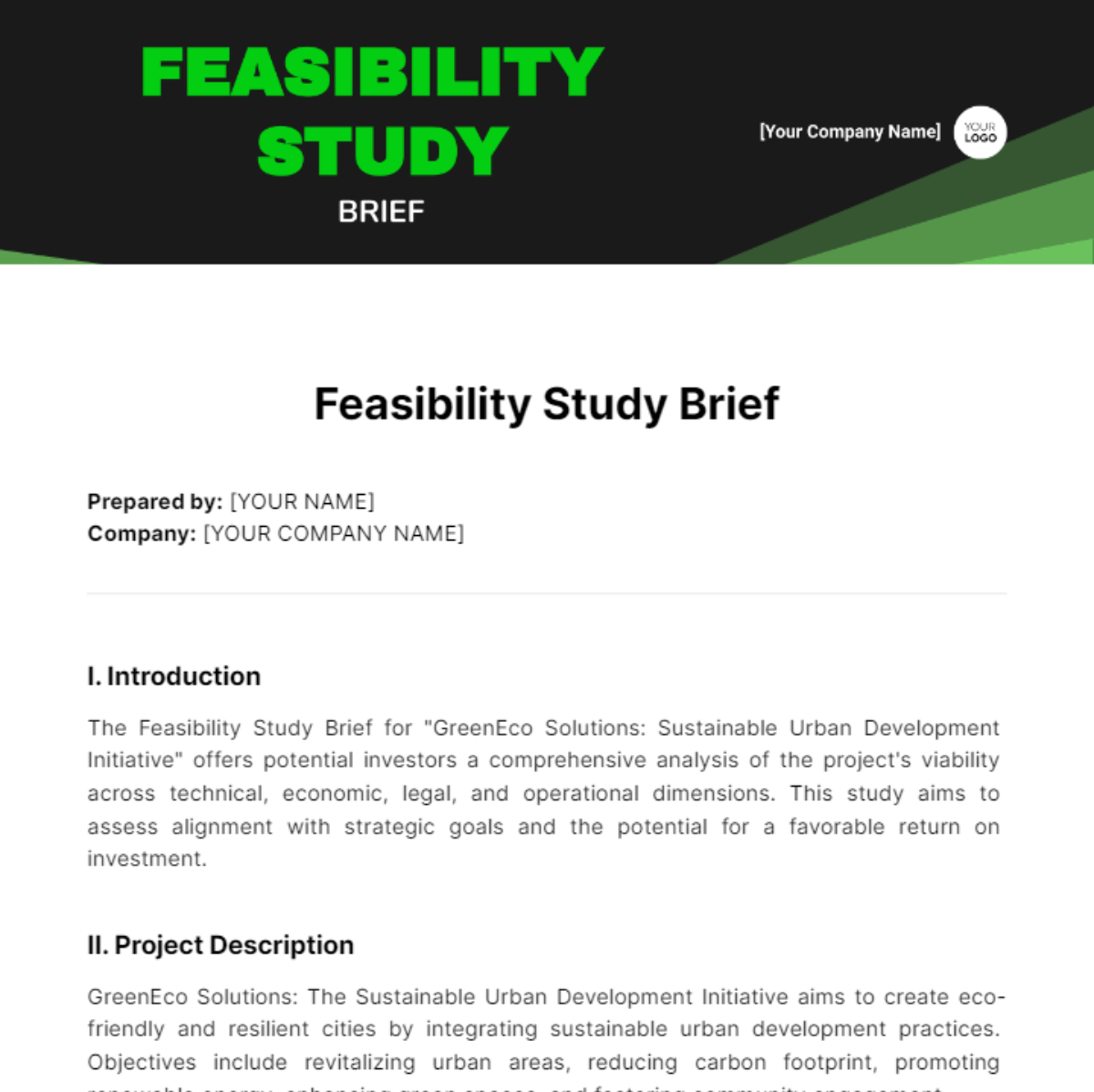 Feasibility Study Brief Template