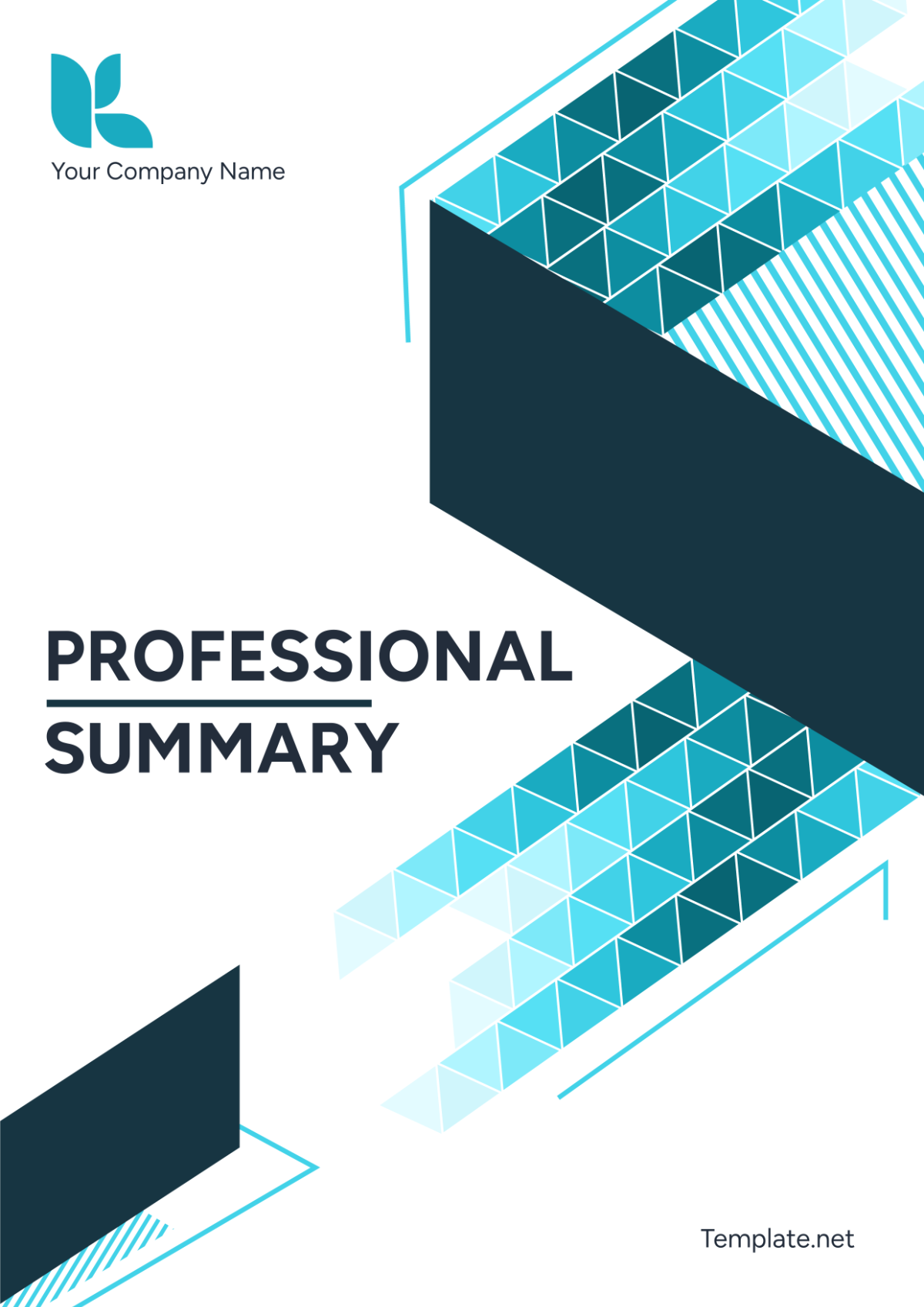 Professional Summary Cover Page