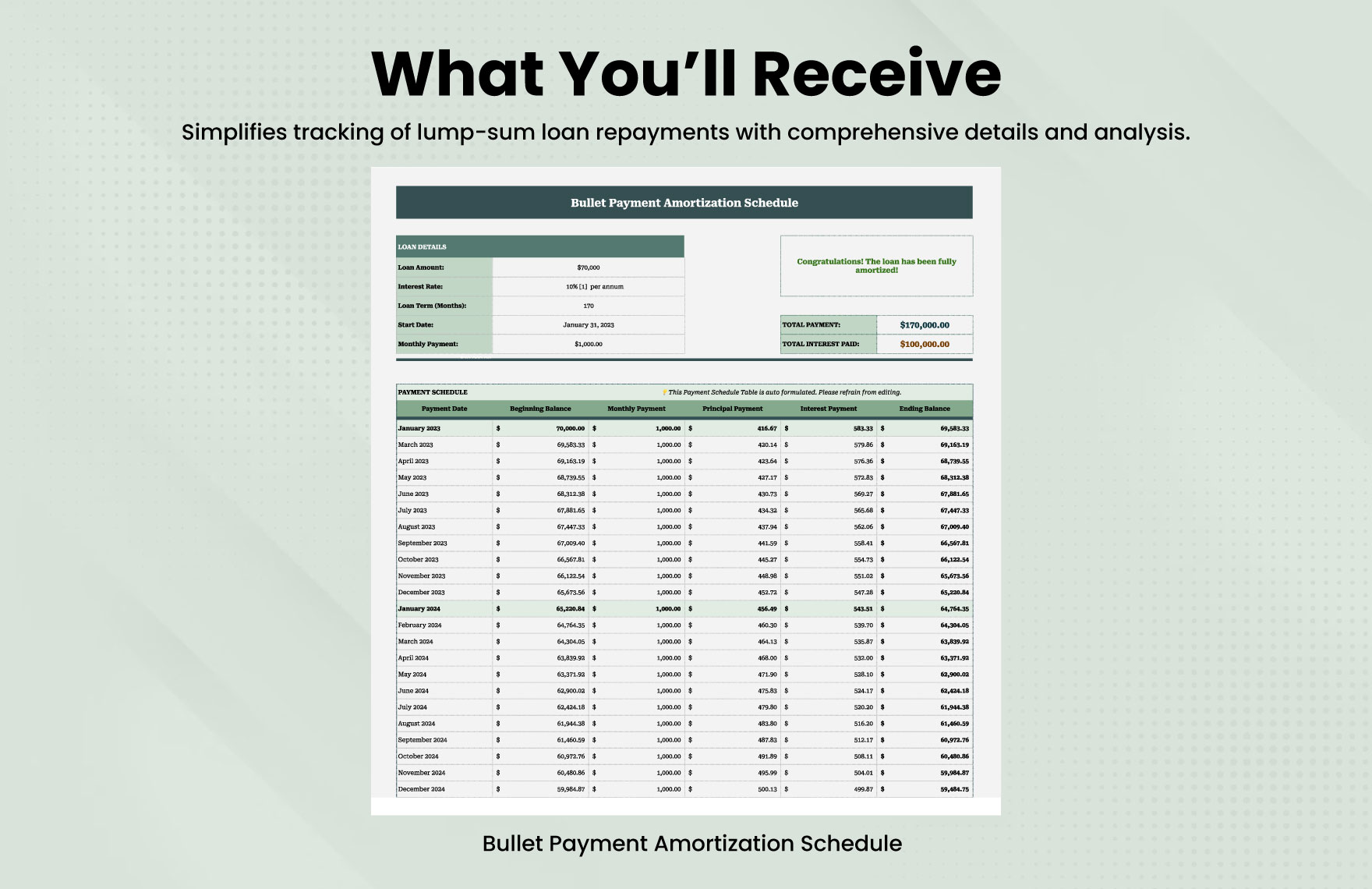 Bullet Payment Amortization Schedule Template