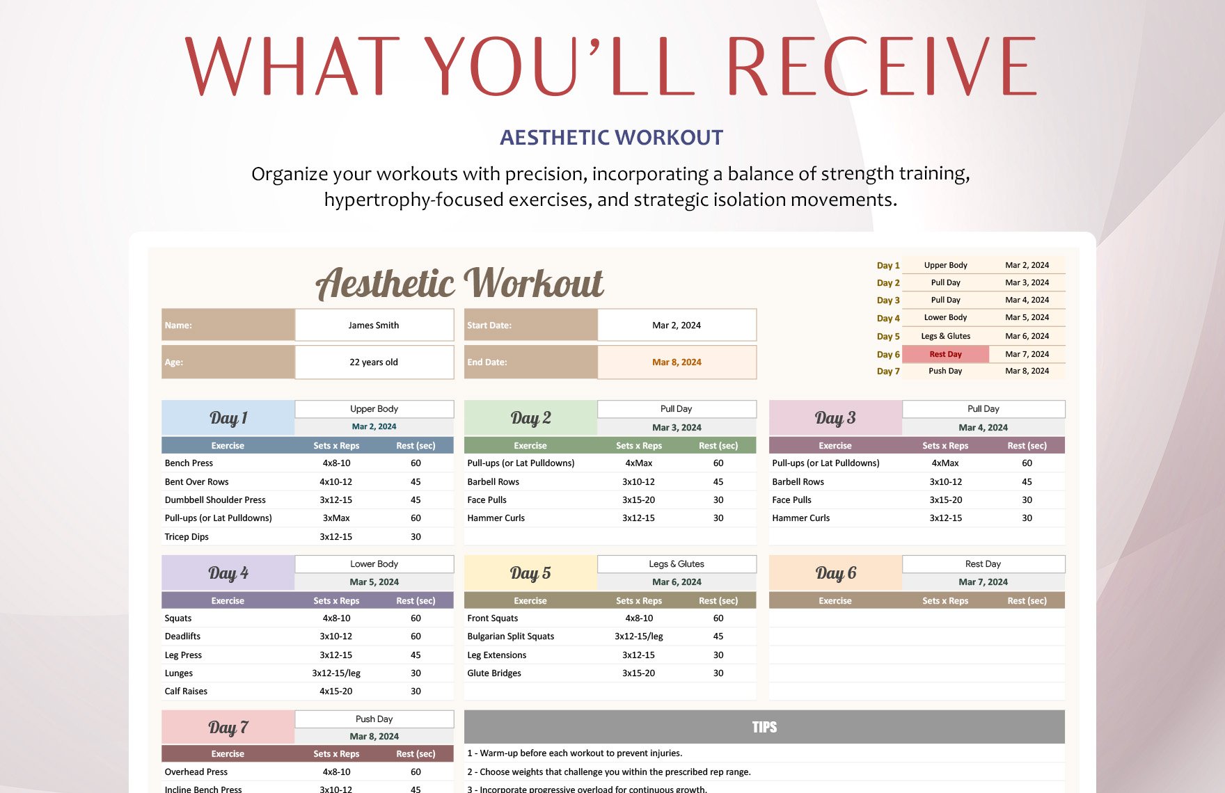 Aesthetic Workout Template