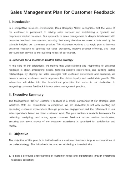 Free Sales Management Plan for Customer Feedback Template to Edit Online