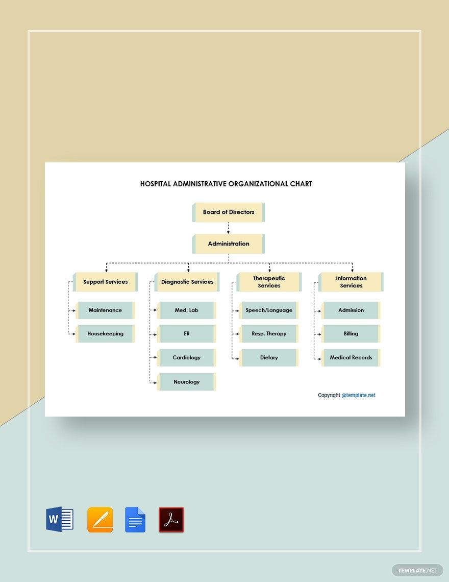 Hospital Administrative Organizational Chart Template