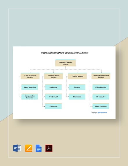 Hospital Management Organizational Chart: A Visual Reference of Charts ...