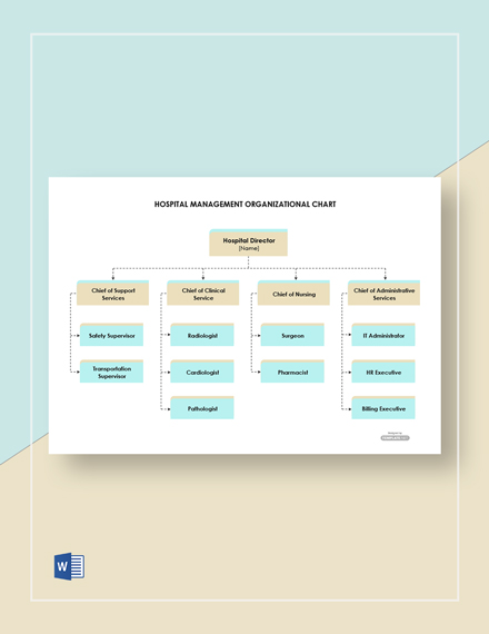 Hospital Management Organizational Chart