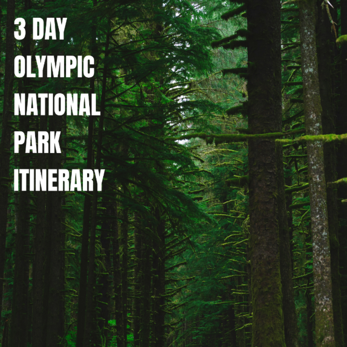 3 Day Olympic National Park Itinerary Template - Edit Online & Download