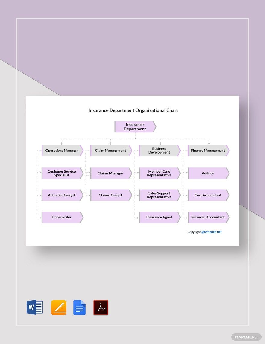 Insurance Department Organizational Chart Template