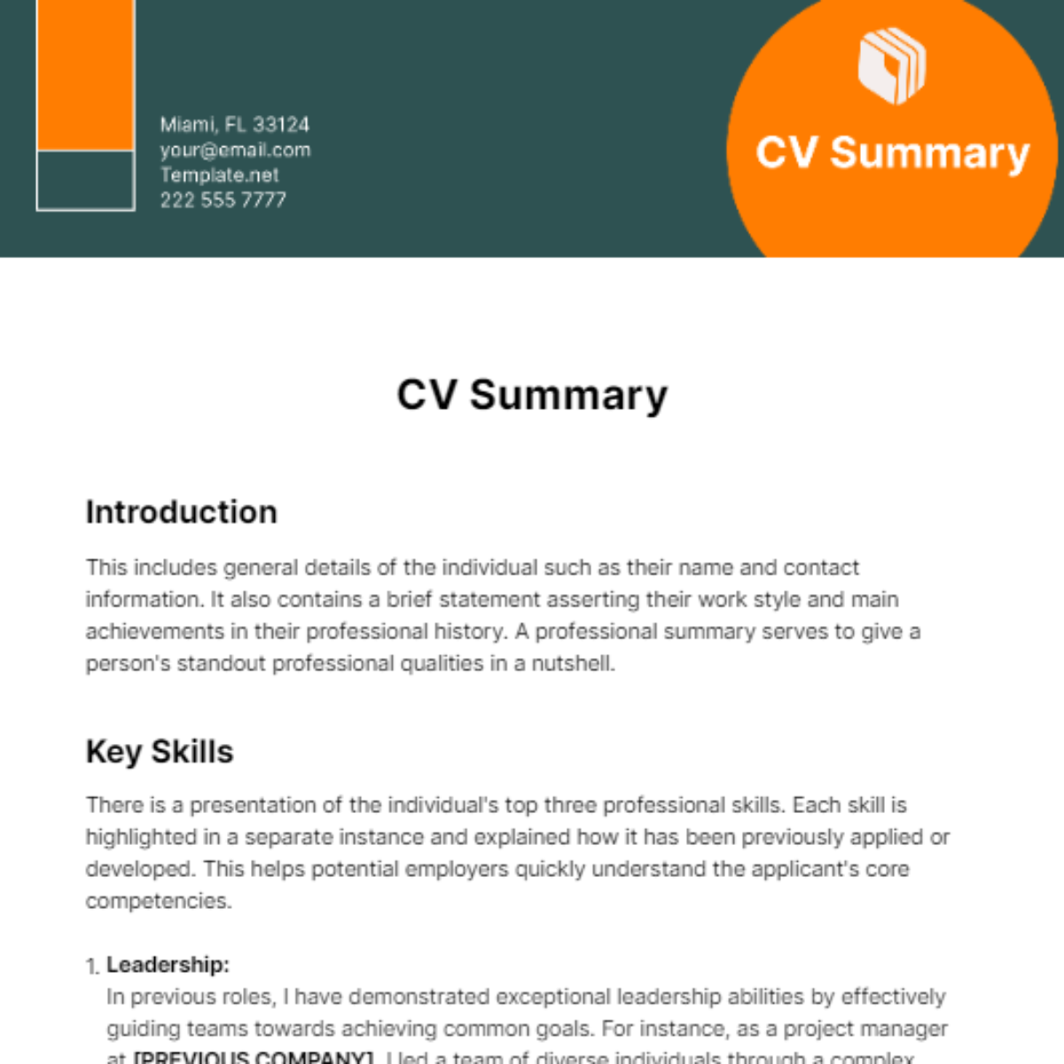 CV Summary Template