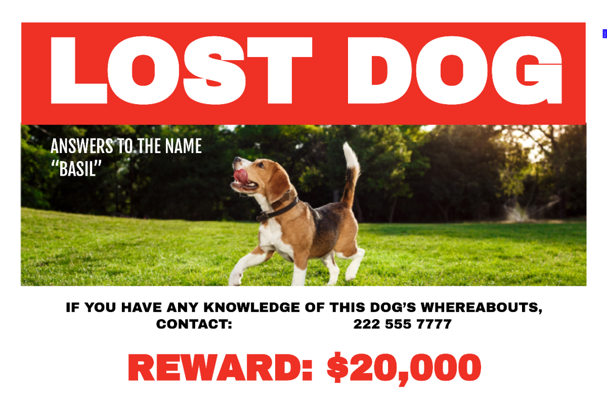 Free Lost Dog Sign