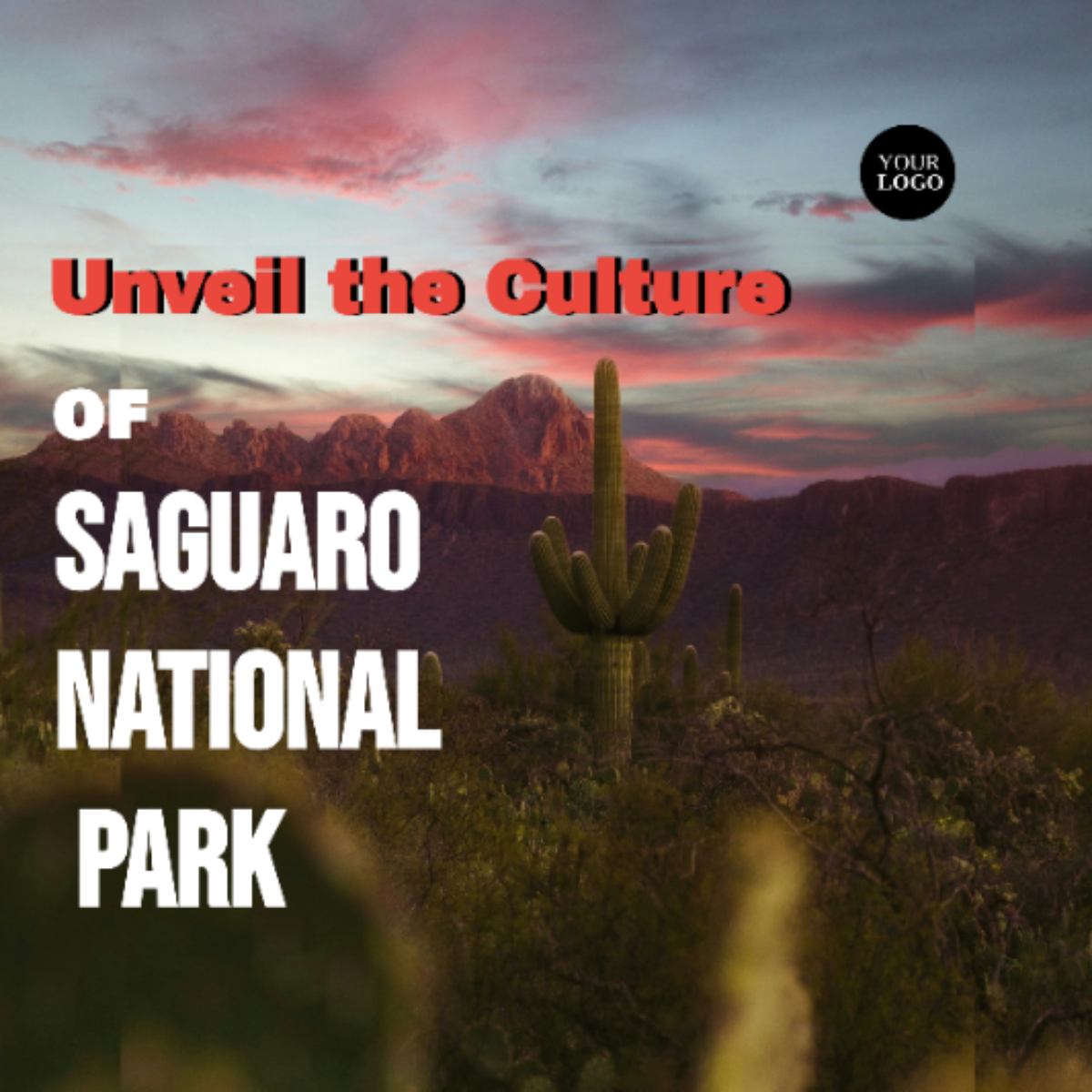 Saguaro National Park Itinerary Template - Edit Online & Download