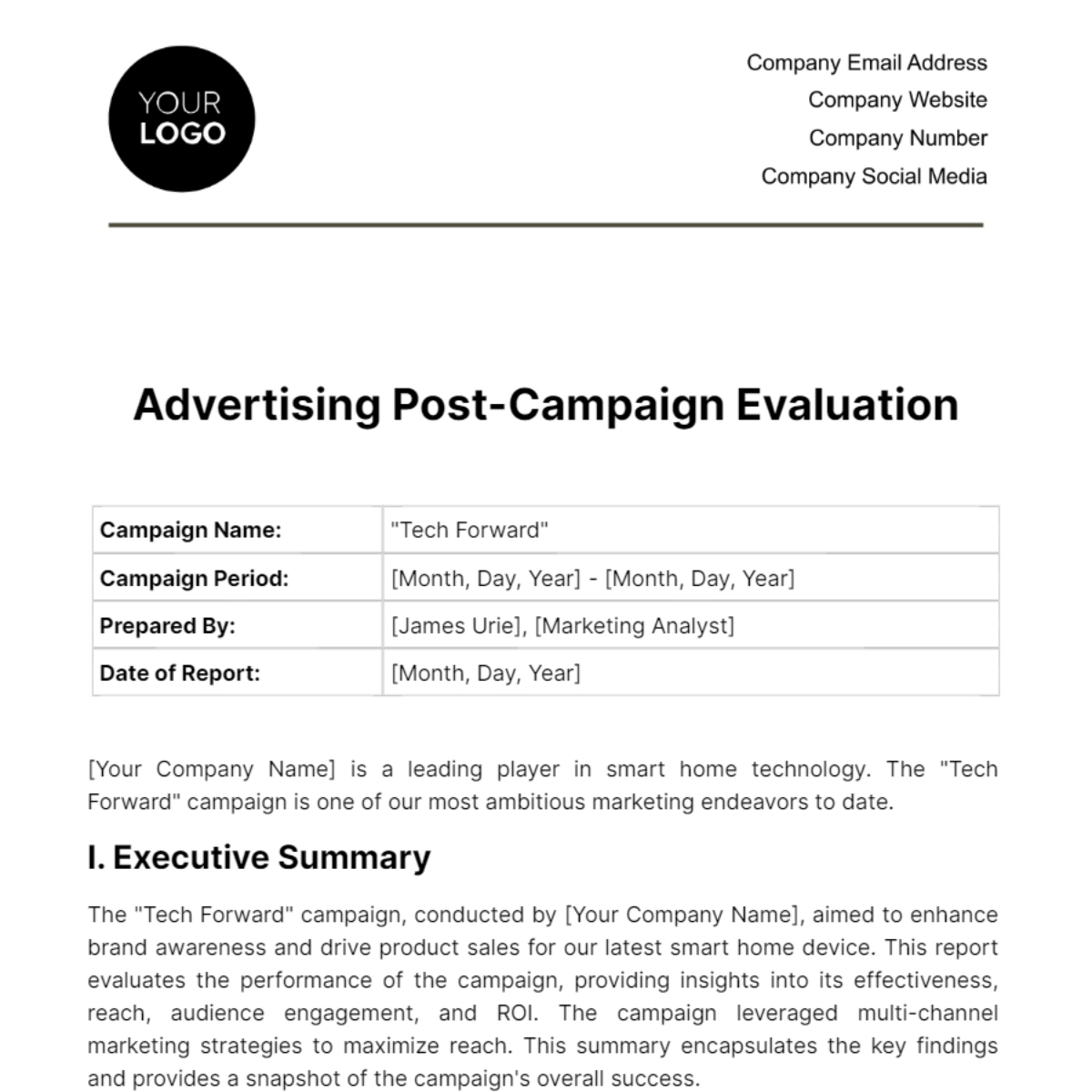 Advertising Post-Campaign Evaluation Template