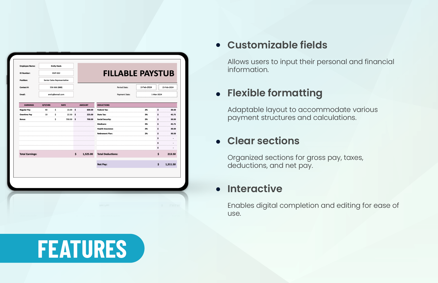 Fillable Paystub Template